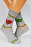 Štýlové pánske ponožky Regina Socks 7844 Avangarda
